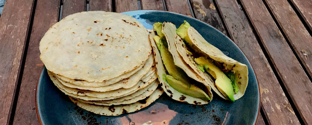 Tortillas de maseca Receta de La mexicana- Cookpad