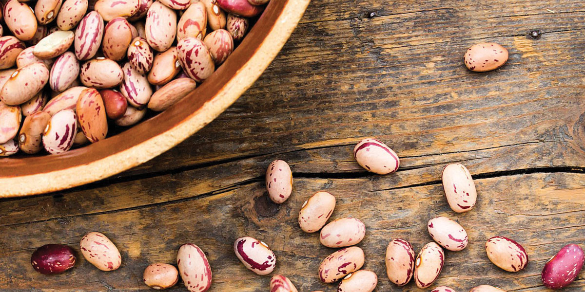 ¿Frijol entero o refrito? ¿Mismo sabor?