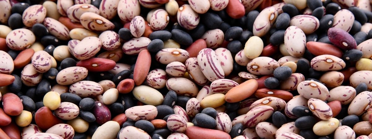 Frijoles mexicanos: tradicionales y nutritivos