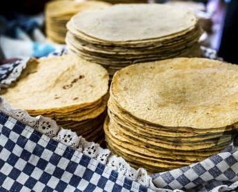 Del maíz a la mesa: el auge de las tortillas mexicanas en España