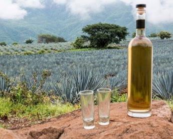 El tequila mexicano se impone en España